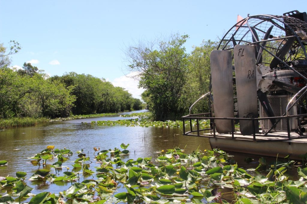 Vale la pena andare alle Everglades 1