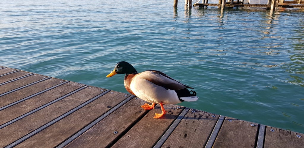 Lago di Garda Sirmione