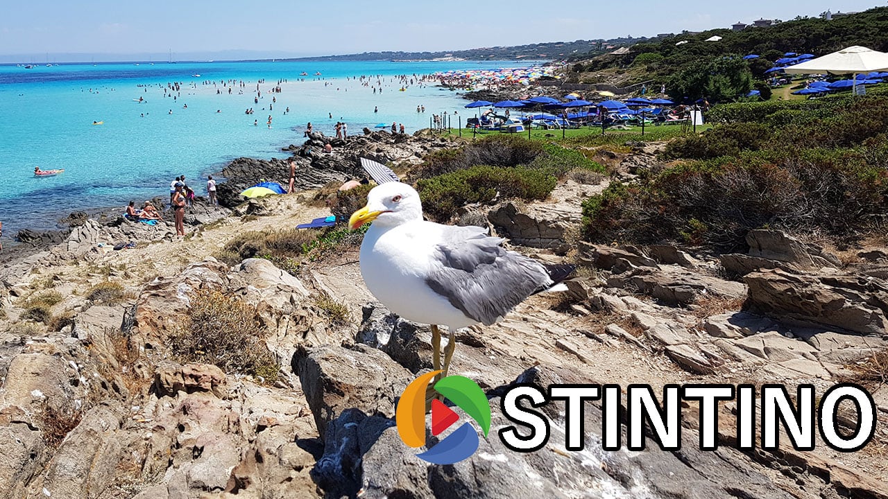 Read more about the article Stintino Sardinia Italy