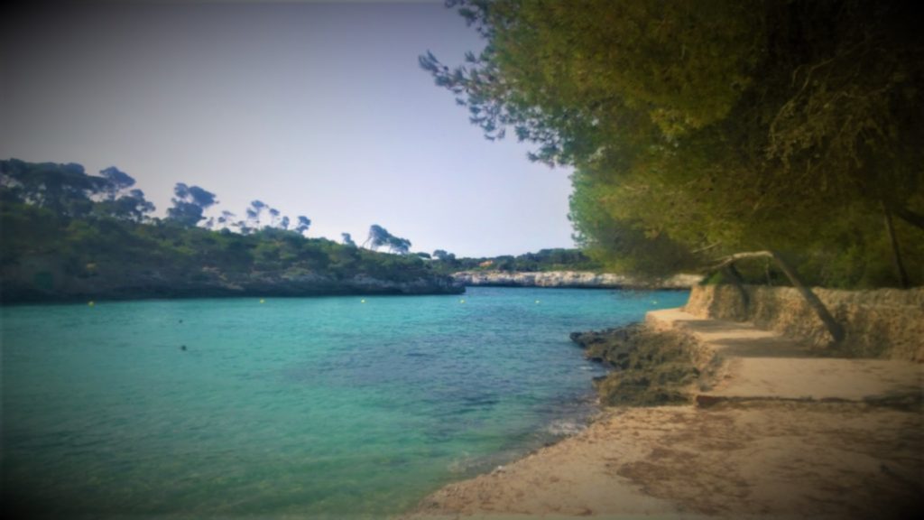 Mondragó Natural Park beach Cove Mondrago Mallorca Spain 6