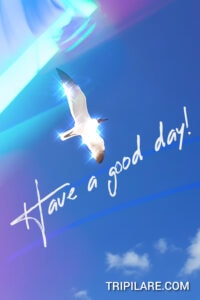 have a good day image tripilare