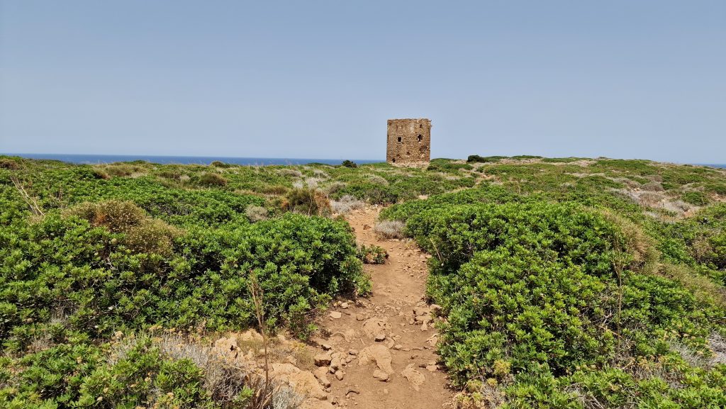 Best beaches in Sardinia Italy Cala Domestica Beach Tripilare 7