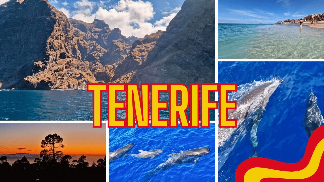 TOP Things to do in South Tenerife & South Tenerife beaches + weather