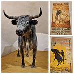 Top 10 Things to Do in Seville Spain Why was bullfighting abolished in Spain but not in Seville