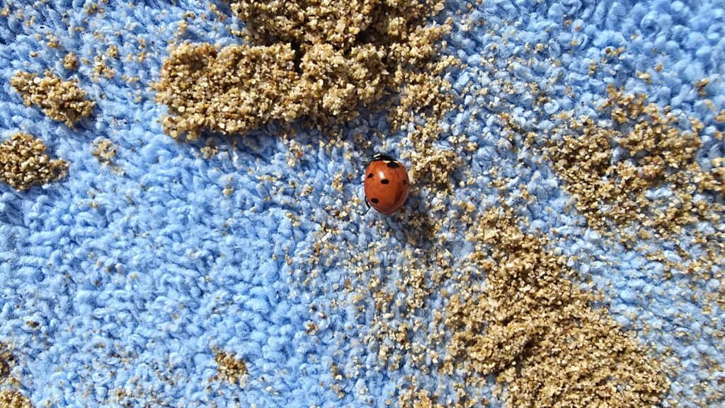 Close-up photo of a red ladybug (coccinella) resting on a blue towel covered in golden sand, capturing a poetic moment at Agathi Beach, Rhodes.