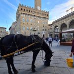 things to do in Florence Italy Palazzo Vecchio or Old Palace scaled
