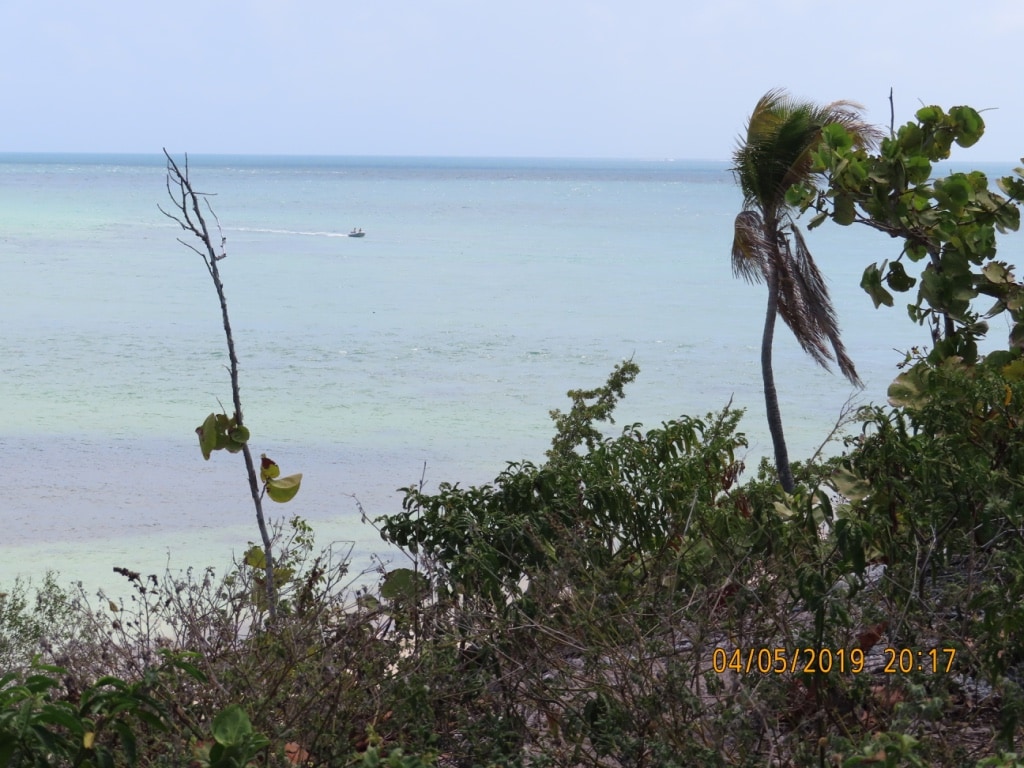 Migliori-spiagge-delle-Keys-Bahia-Honda-State-Park-florida-dopo-uragano-Irma