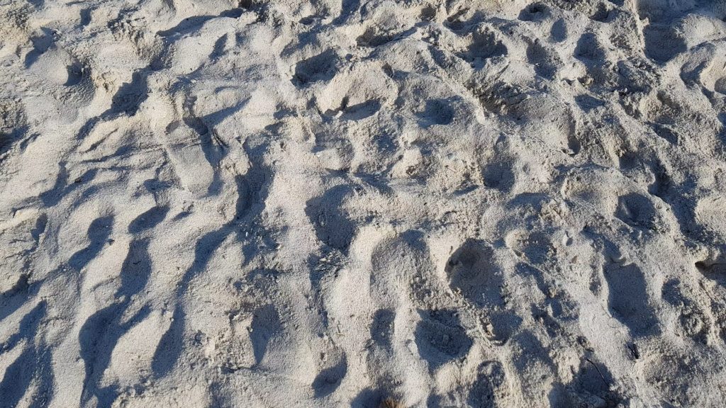 spiaggia bianca golfo aranci sabbia