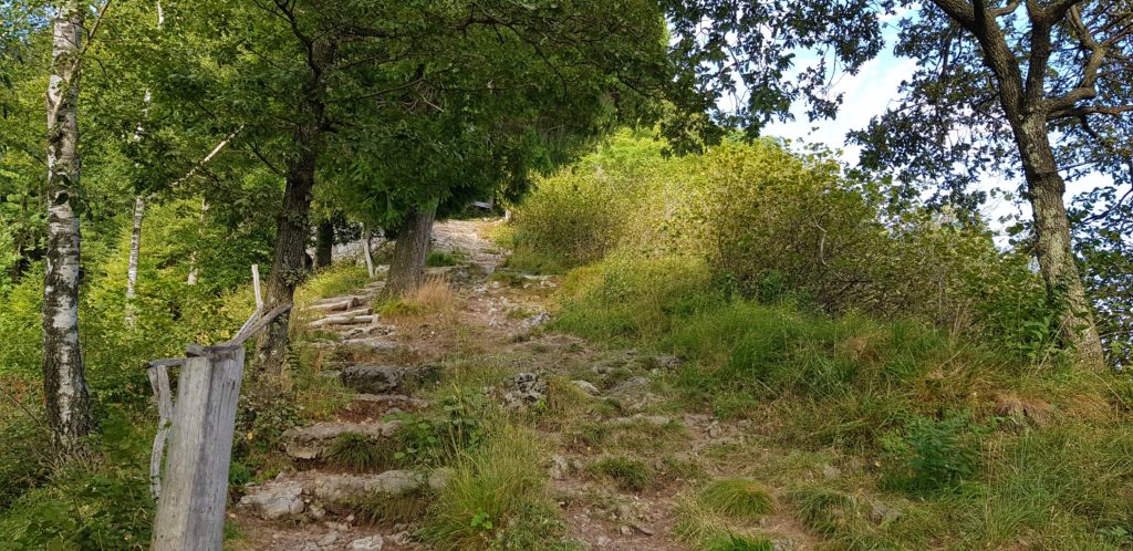 Passeggiata fino alla Cima del Sasso del Ferro