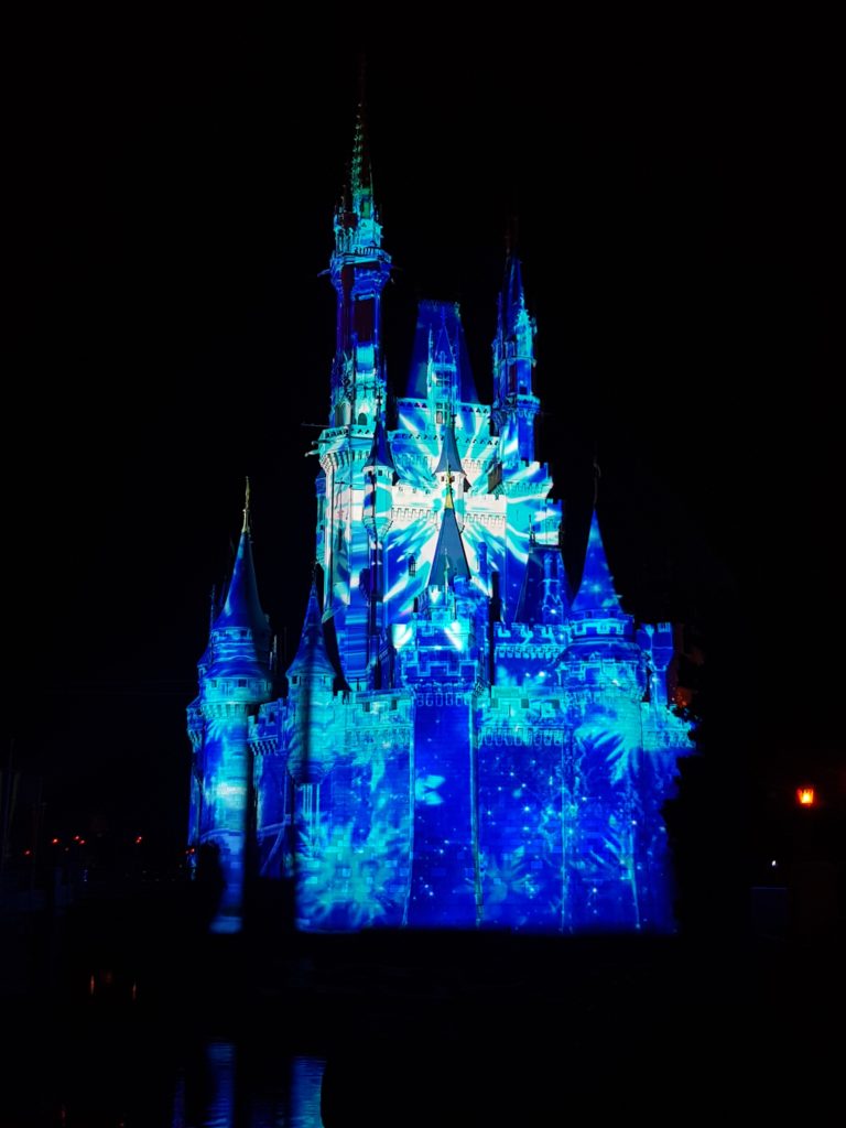 Disney World Orlando castello illuminato