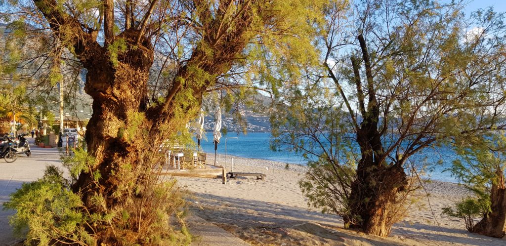 spiaggia kalamata grecia