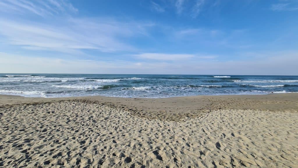 Viareggio cosa vedere Spiaggia Viareggio 33