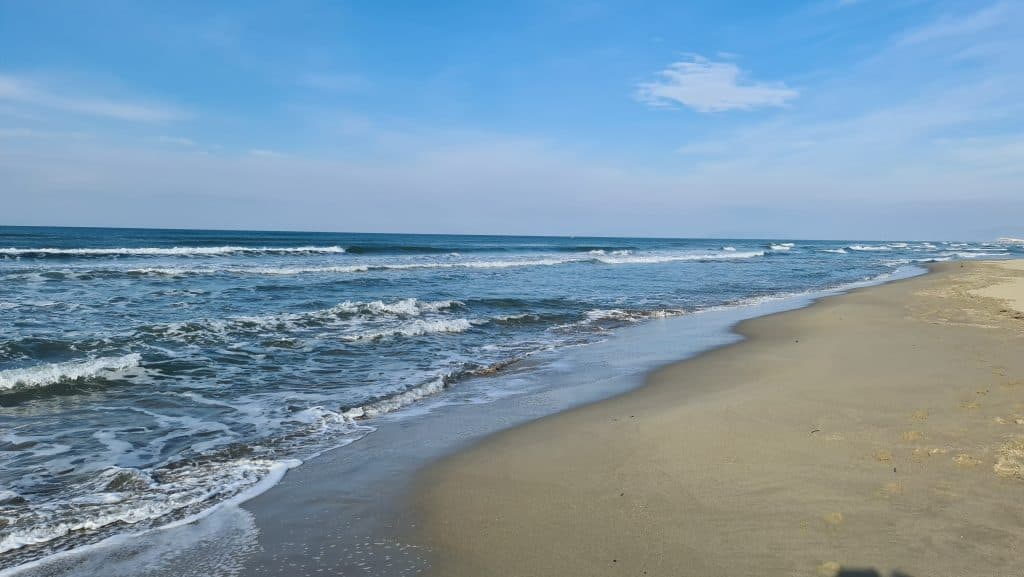 Viareggio cosa vedere Spiaggia Viareggio 35