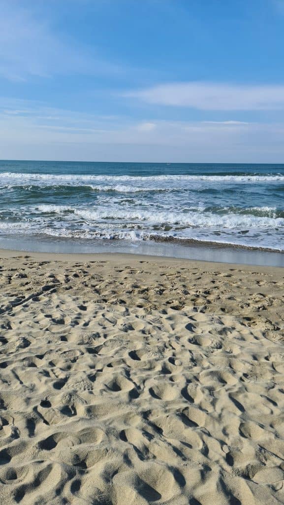 Viareggio cosa vedere Spiaggia Viareggio 38