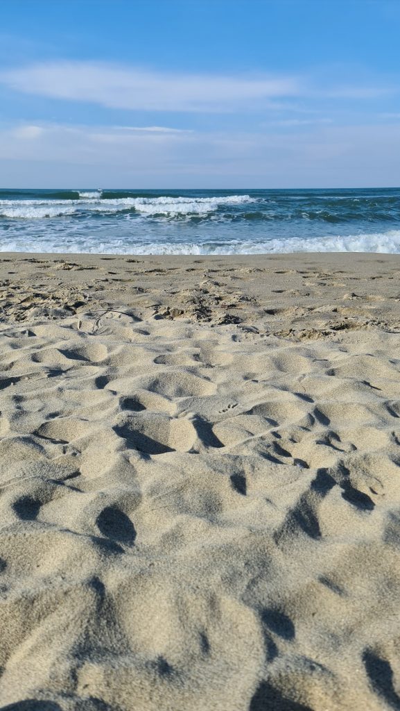 Viareggio cosa vedere Spiaggia Viareggio 39