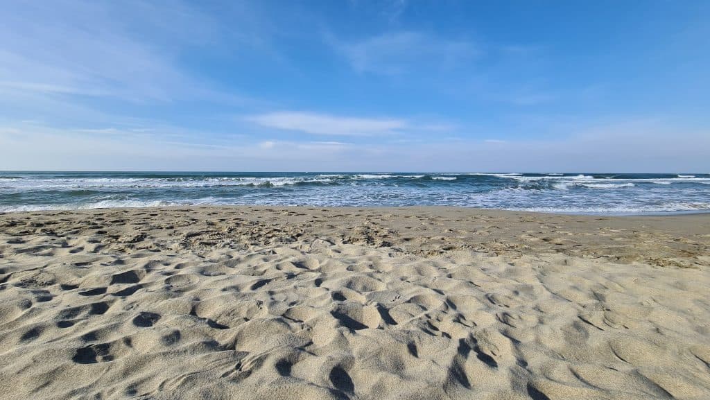 Viareggio cosa vedere Spiaggia Viareggio 40