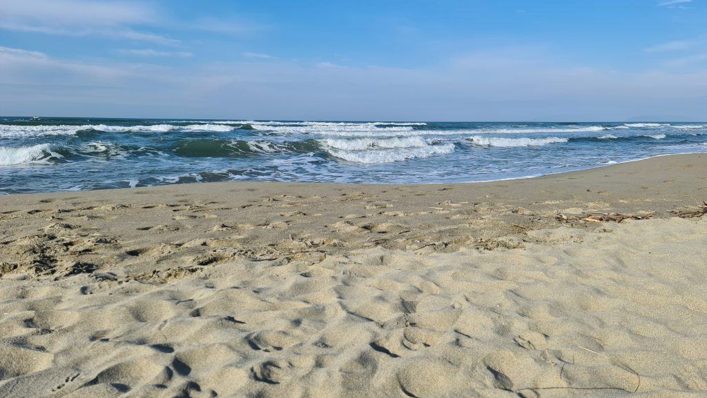 Viareggio cosa vedere Spiaggia Viareggio 43