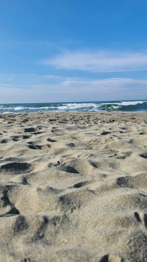 Viareggio cosa vedere Spiaggia Viareggio 44