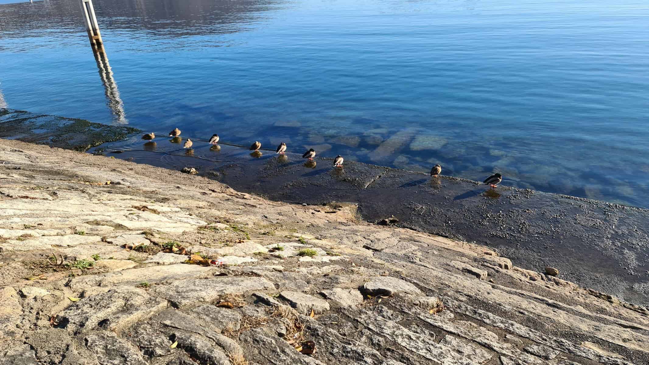 Baveno Feriolo Lago Maggiore Immagini Tripilare