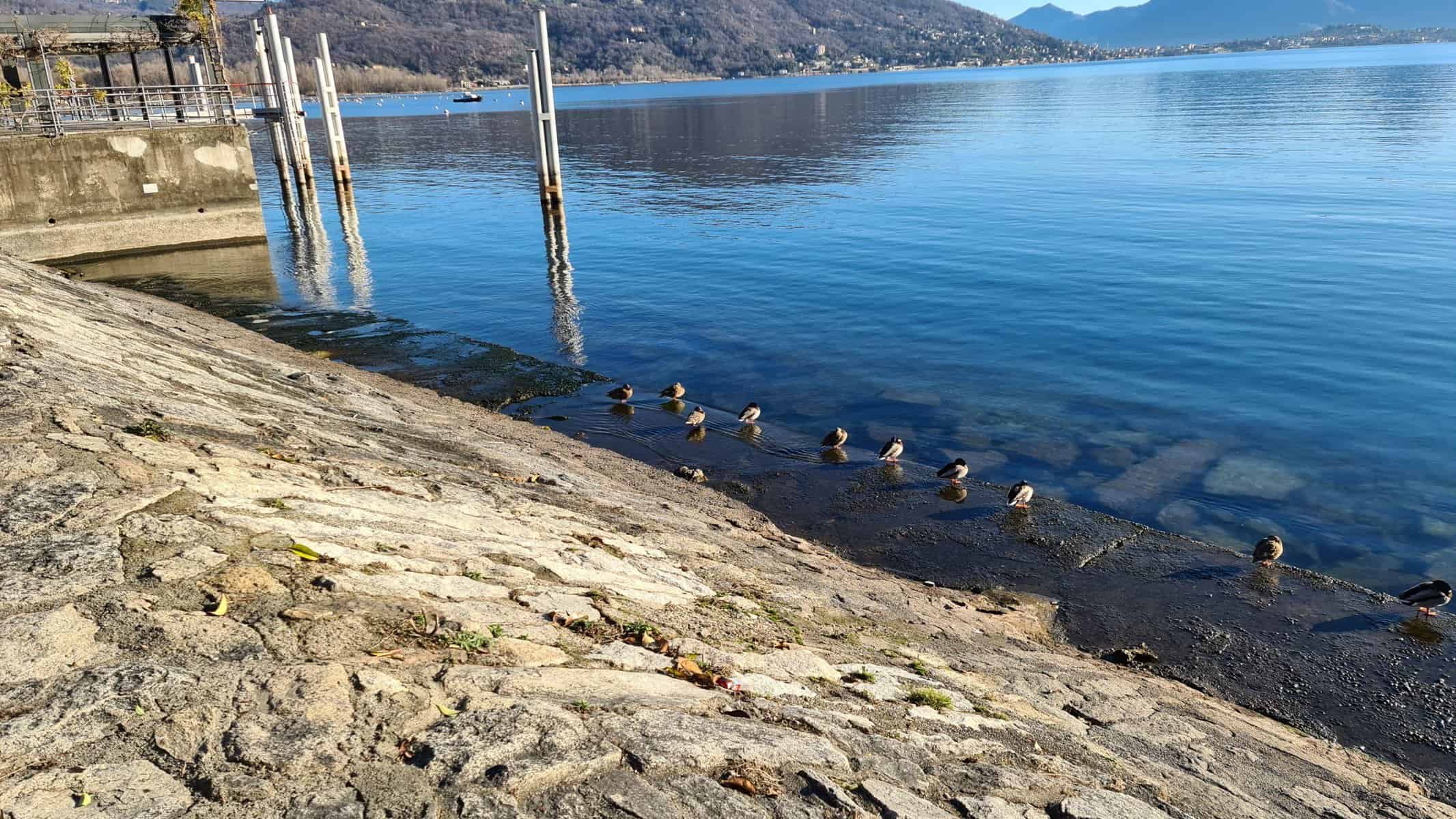 Baveno Feriolo Lago Maggiore Immagini Tripilare