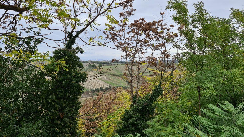 Certaldo cosa vedere Il paese del Boccaccio in Toscana Certaldo Alto Tripilare 17