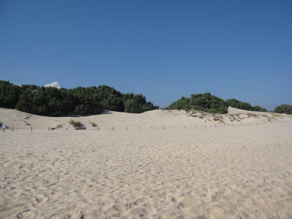 Spiaggia Su giudeu Chia Sardegna Foto tripilare 7