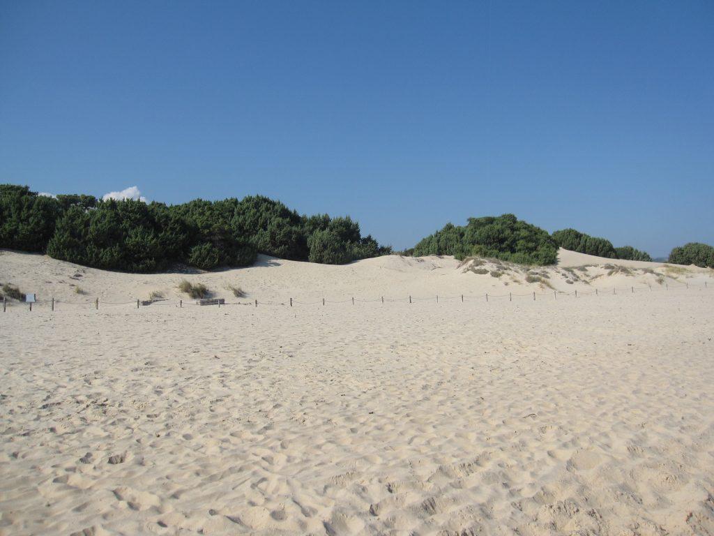 Spiaggia Su giudeu Chia Sardegna Foto tripilare 8