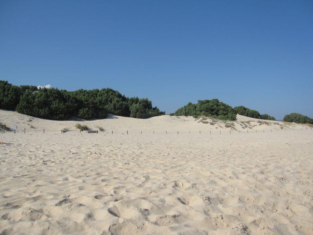 Spiaggia Su giudeu Chia Sardegna Foto tripilare 9