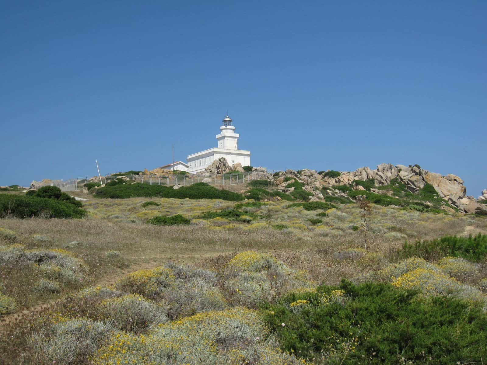 faro Capo testa Spiagge Santa Teresa di Gallura Santa Teresa di Gallura cosa vedere tripilare 7