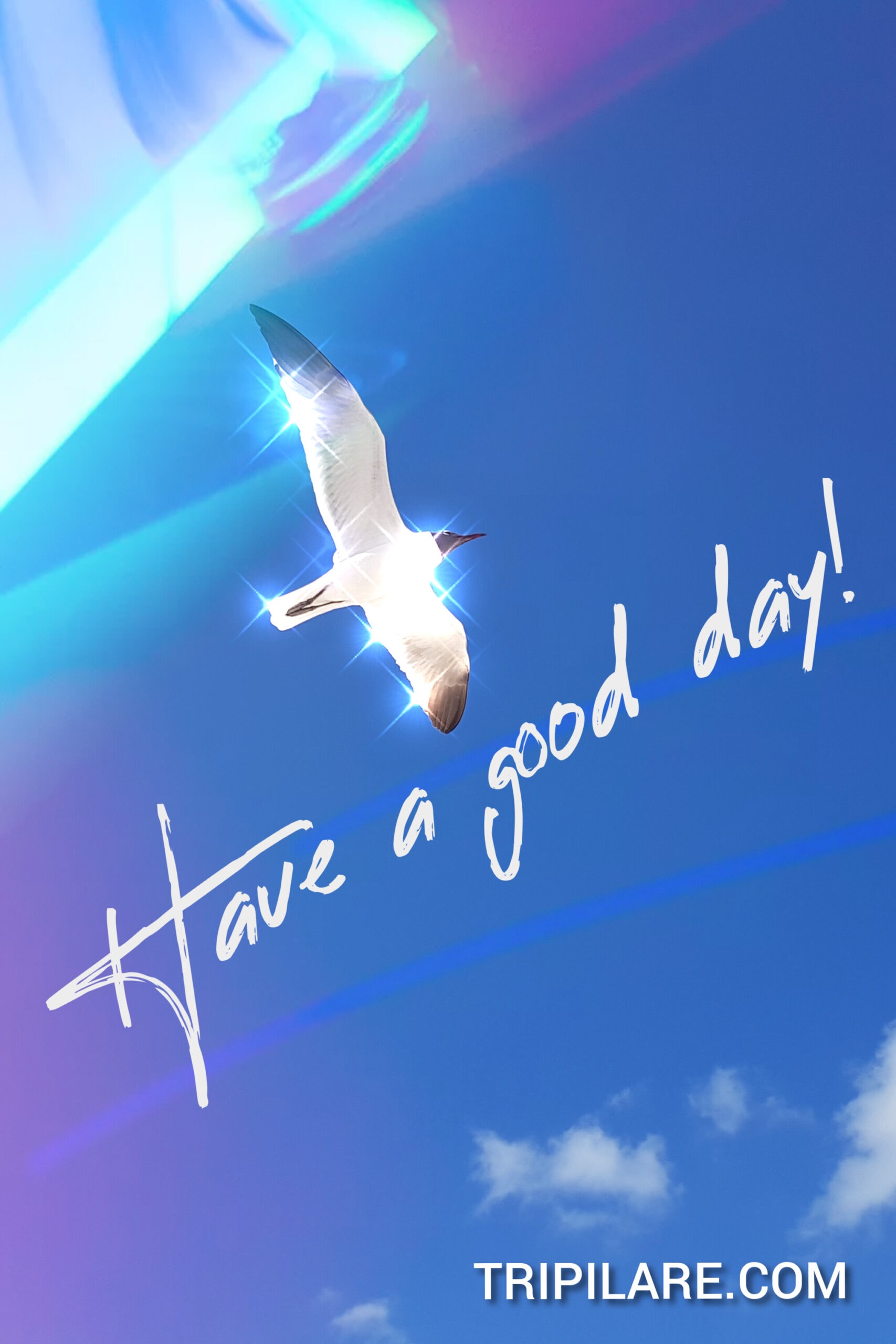 Have a good day have a nice day have a great day - Tripilare.com