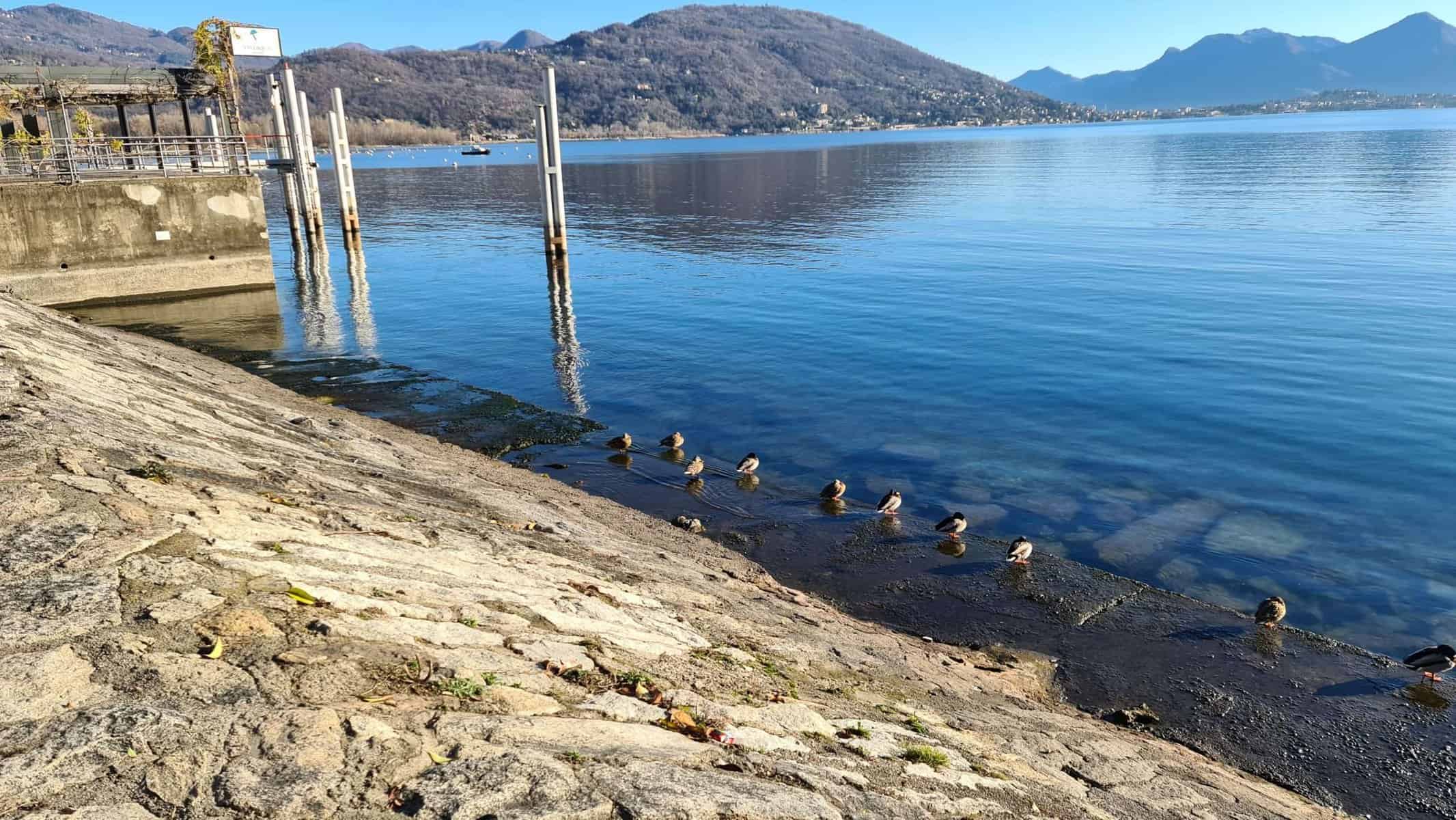 Baveno Feriolo Italy Lake Maggiore