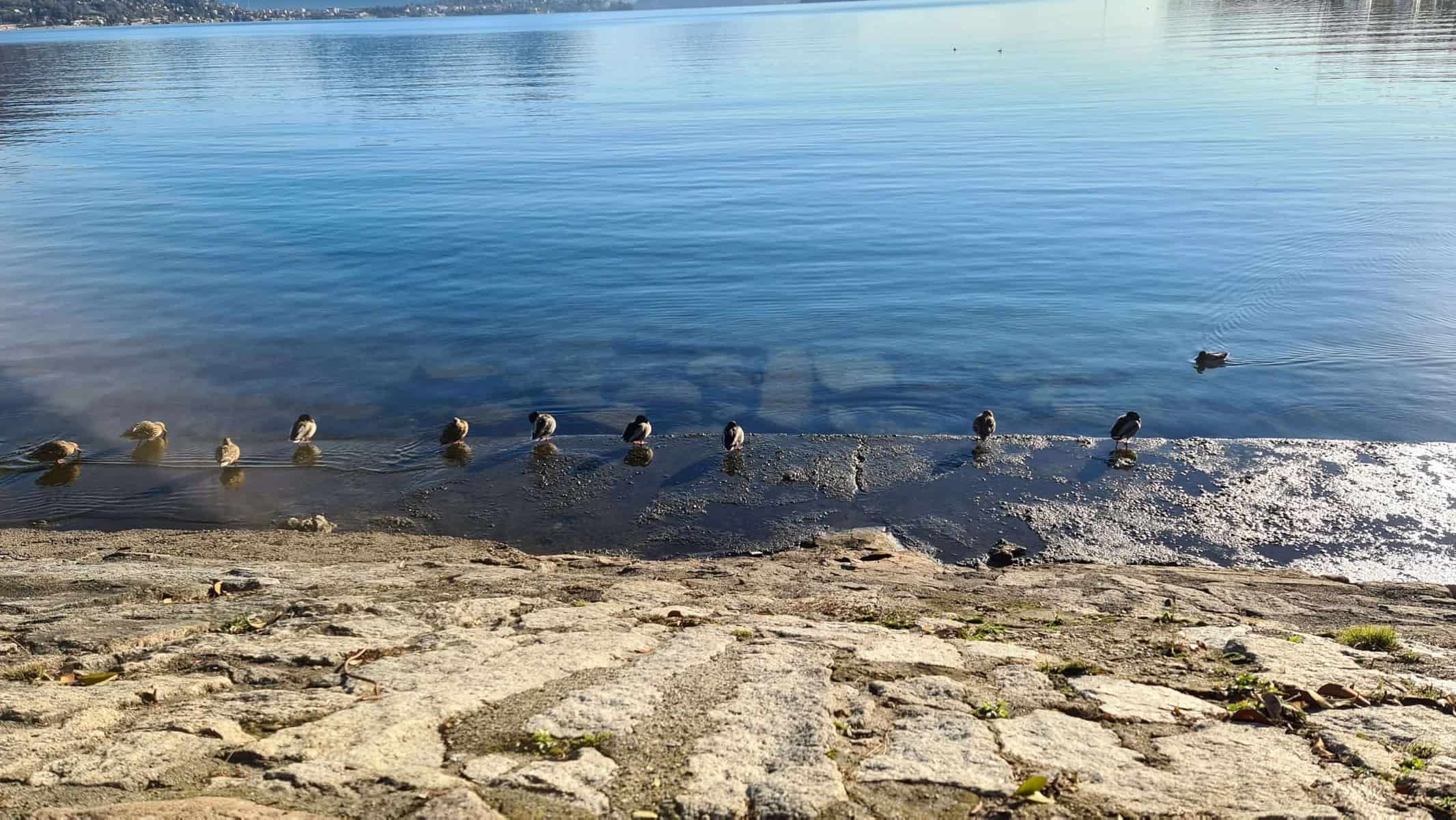 Baveno Feriolo Italy Lake Maggiore