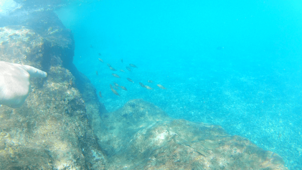 Summer in Amalfi Coast best beaches SNORKELING Duoglio beach Amalfi Tripilare 2