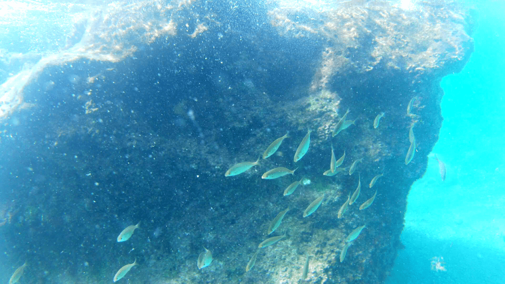 Summer in Amalfi Coast best beaches SNORKELING Duoglio beach Amalfi Tripilare 4