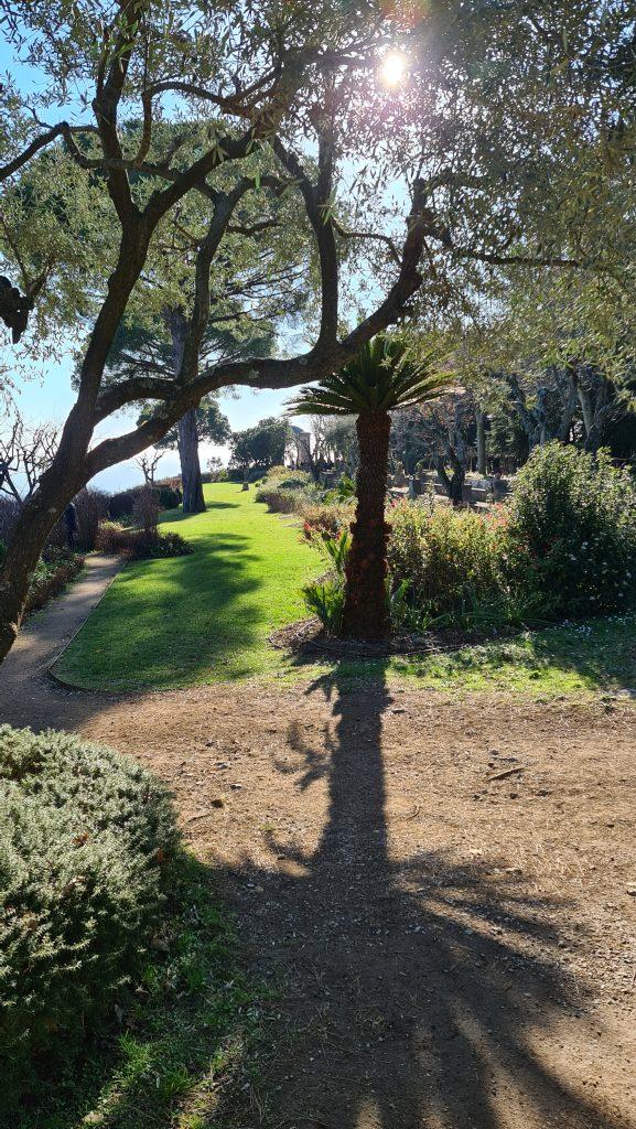 Villa Cimbrone and Terrace of the Infinity in winter 42