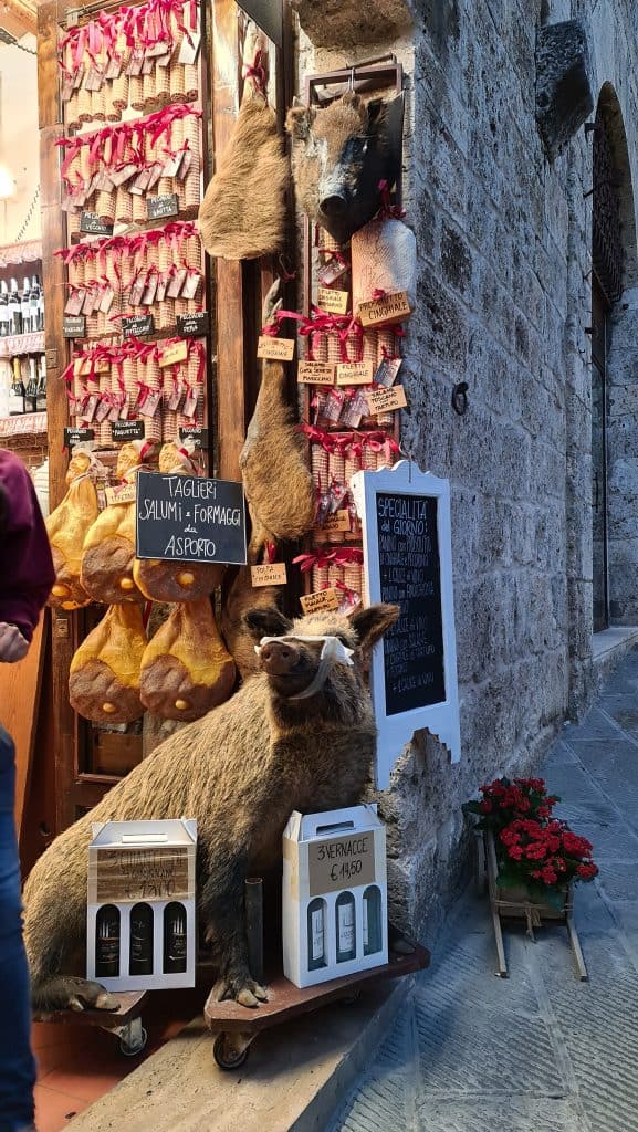 old town Tuscan village San Gimignano Italy things to do tripilare 15