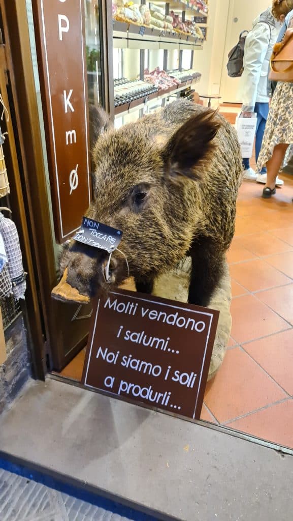 old town Tuscan village San Gimignano Italy things to do tripilare 20