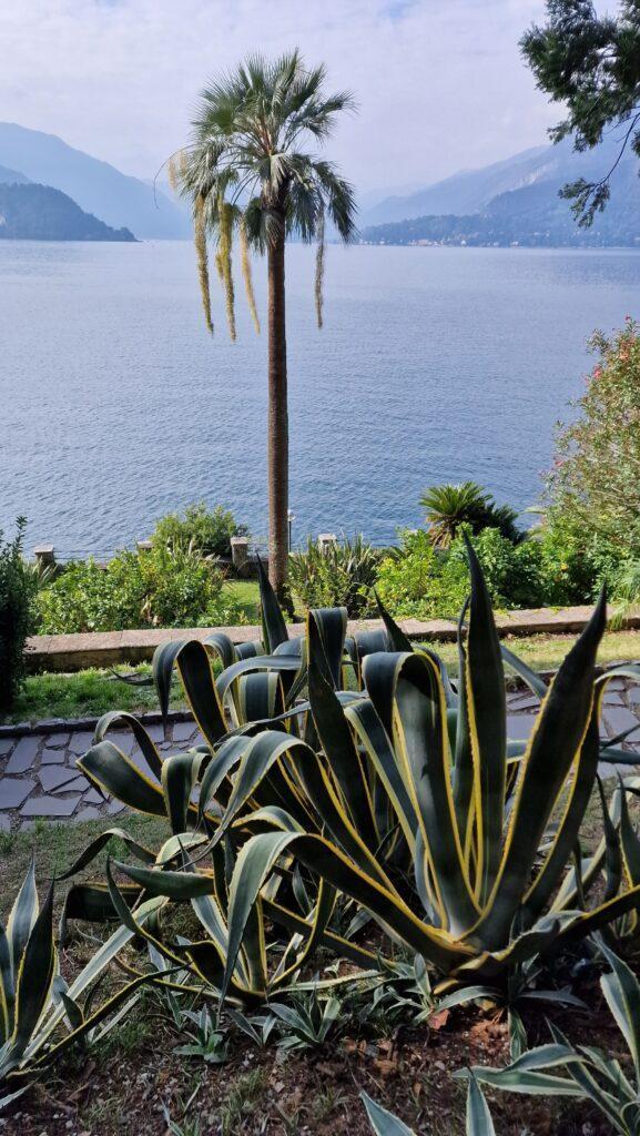 Lake Como Varenna things to do visit the gardens of Villa Monastero 2